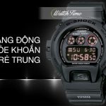 Đồng hồ Casio G-Shock DW-6900-MS-1DR